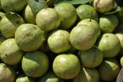 Is It Safe To Eat Guava During Pregnancy?